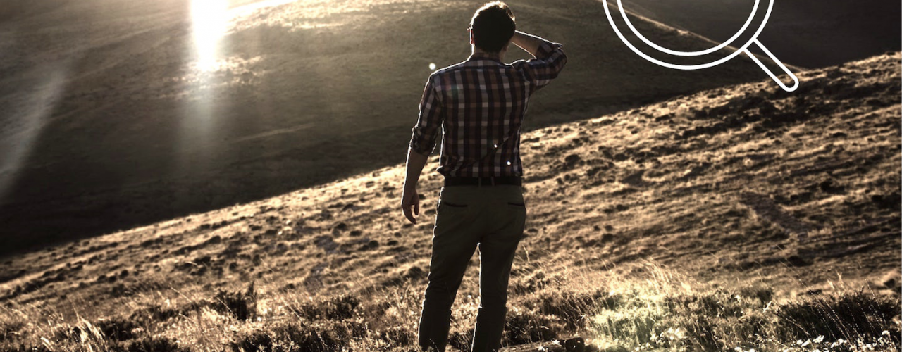 Property Investment Search