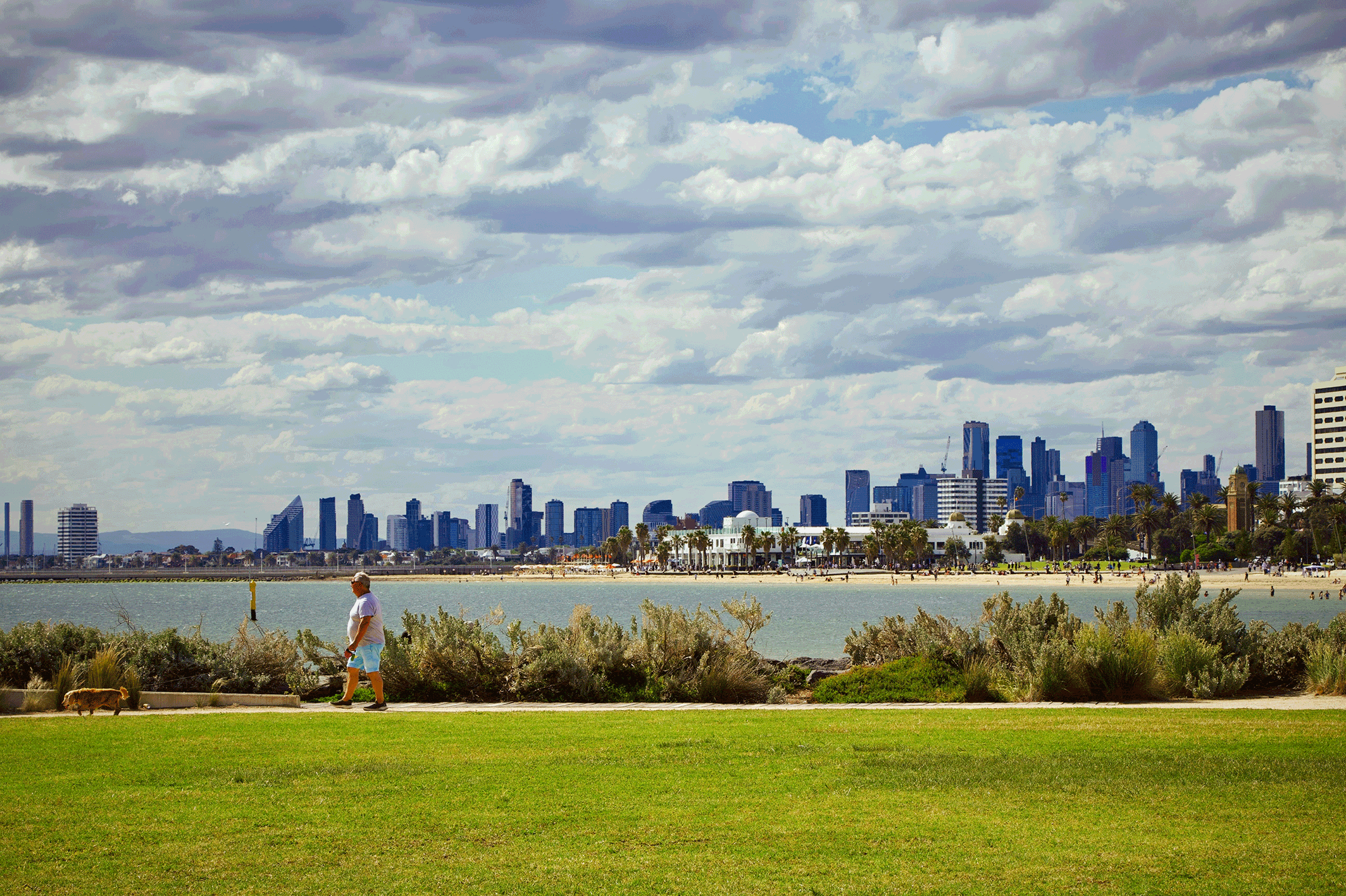 Melbourne skyline with residential suburbs representing property investment opportunities in 2026