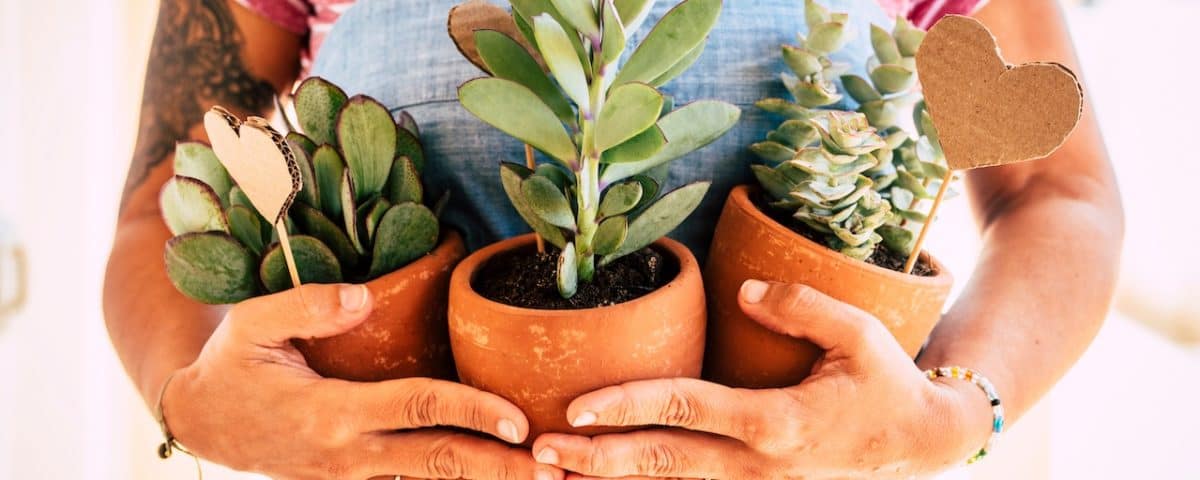 Buyers Agent Sydney, Buying Property, Commercial Property Investing, Core Logic, First Home Owner, Hedonic Indices, Property Investing, Property Investing Strategy, Property Investment Strategy, Property Trends, Search Party Property